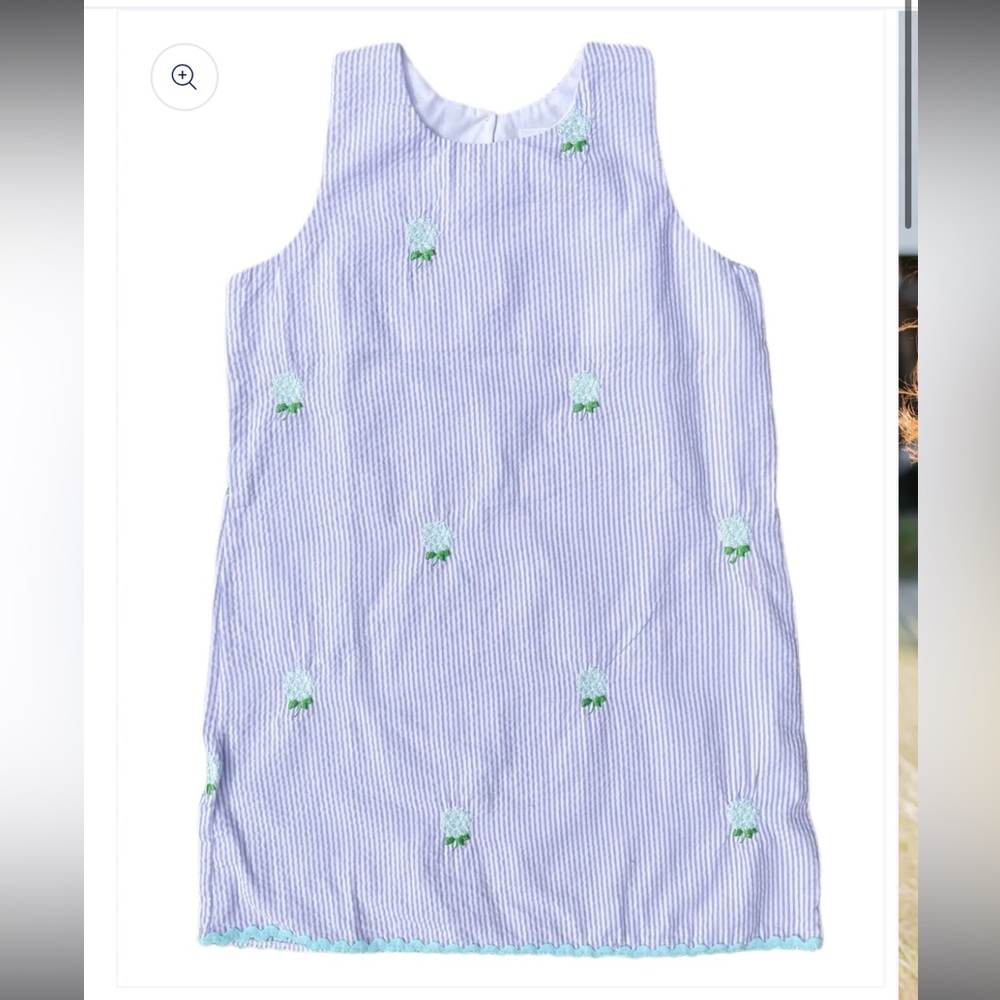 NWT Piping Prints Seersucker Girls Dress with Embroidered Hydrangea Flowers